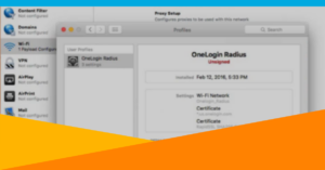 RADIUS and LDAP Server Interfaces