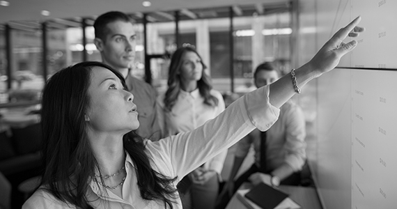 Optimized lifecycle management streamlines efforts for TeamSense