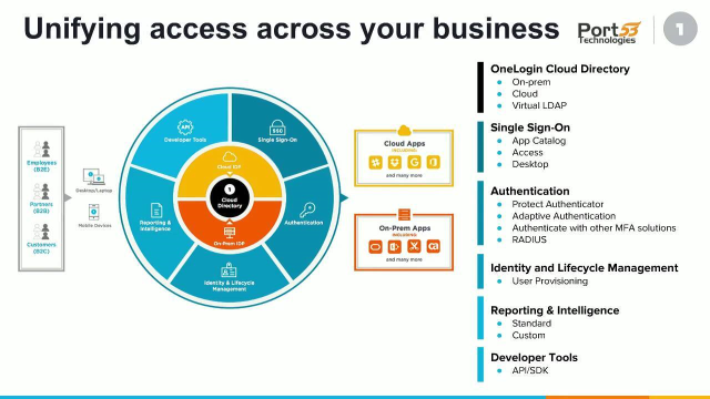 How to Enable Secure Access to All Cloud Apps with DNS Visibility and Single Sign On